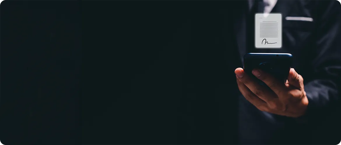 Government Application Development