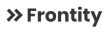 frontity-frontend-service