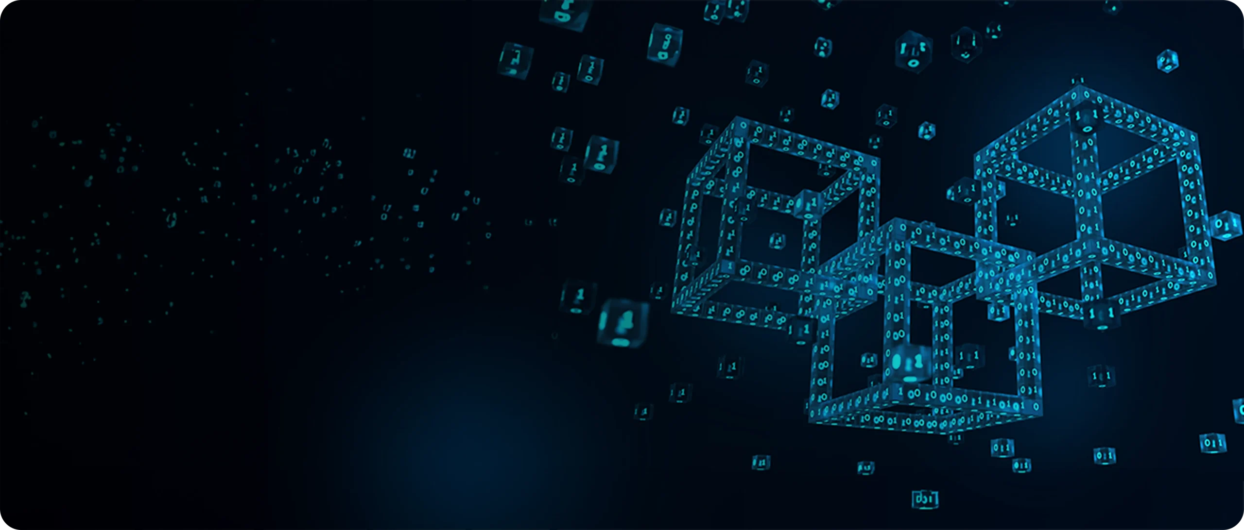 Private / Permissioned Blockchain Development