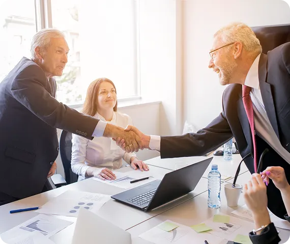 Shareholding & Investor Rights